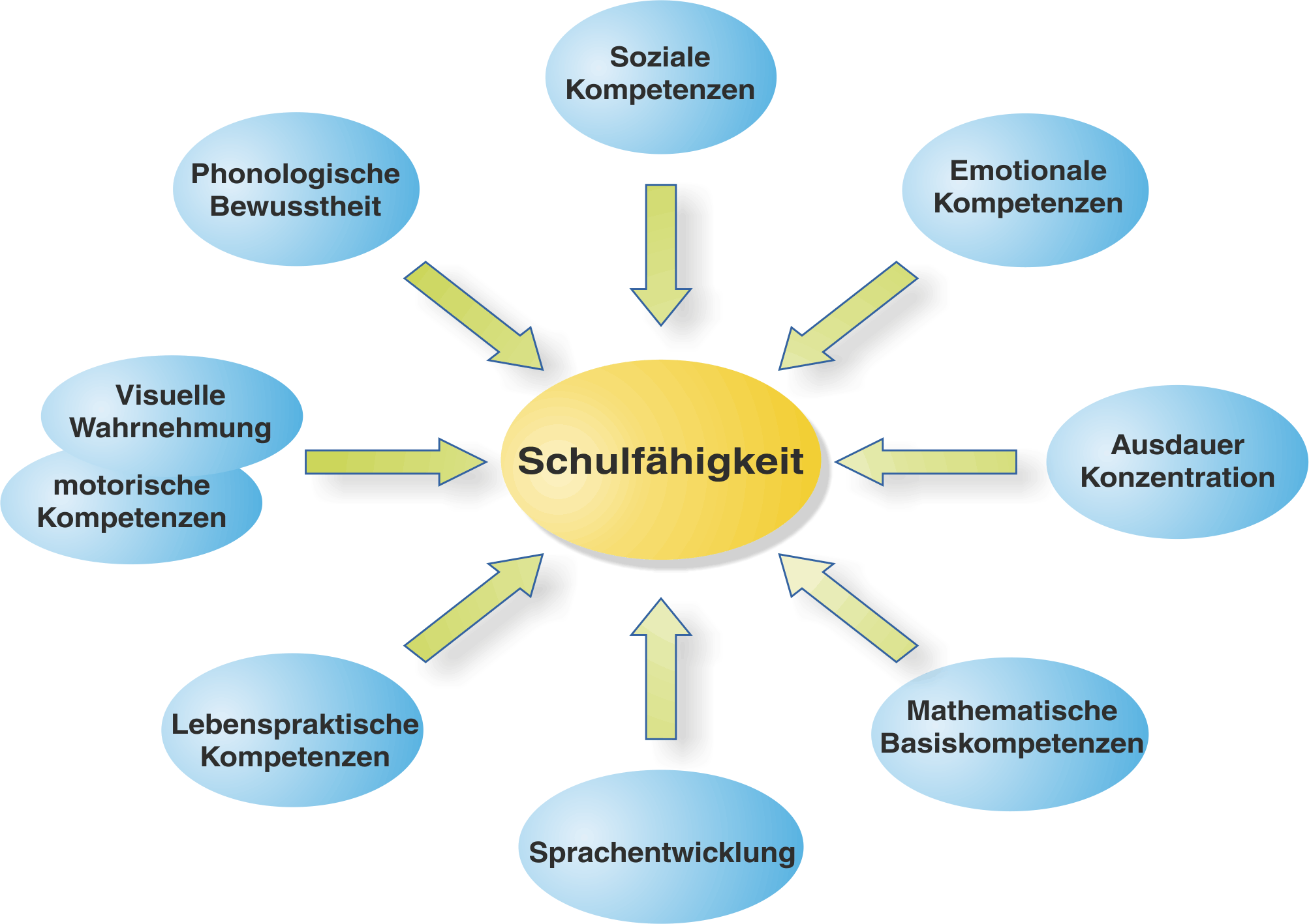 ibr-Akademie - Schulfhigkeit